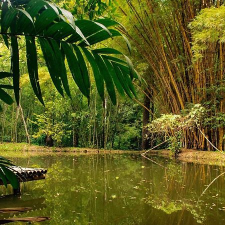 Reserva Biologica Caoba Bonda Екстер'єр фото