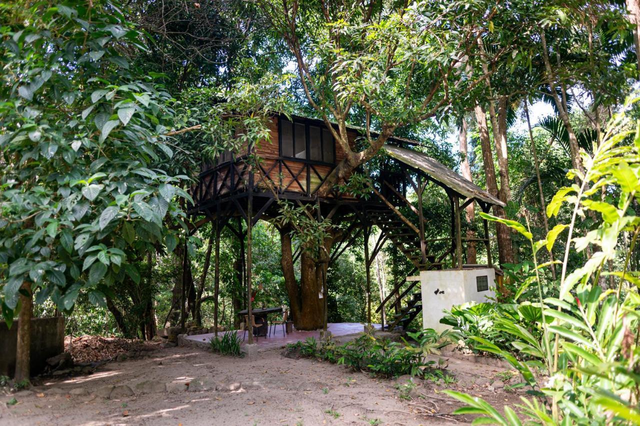 Reserva Biologica Caoba Bonda Екстер'єр фото
