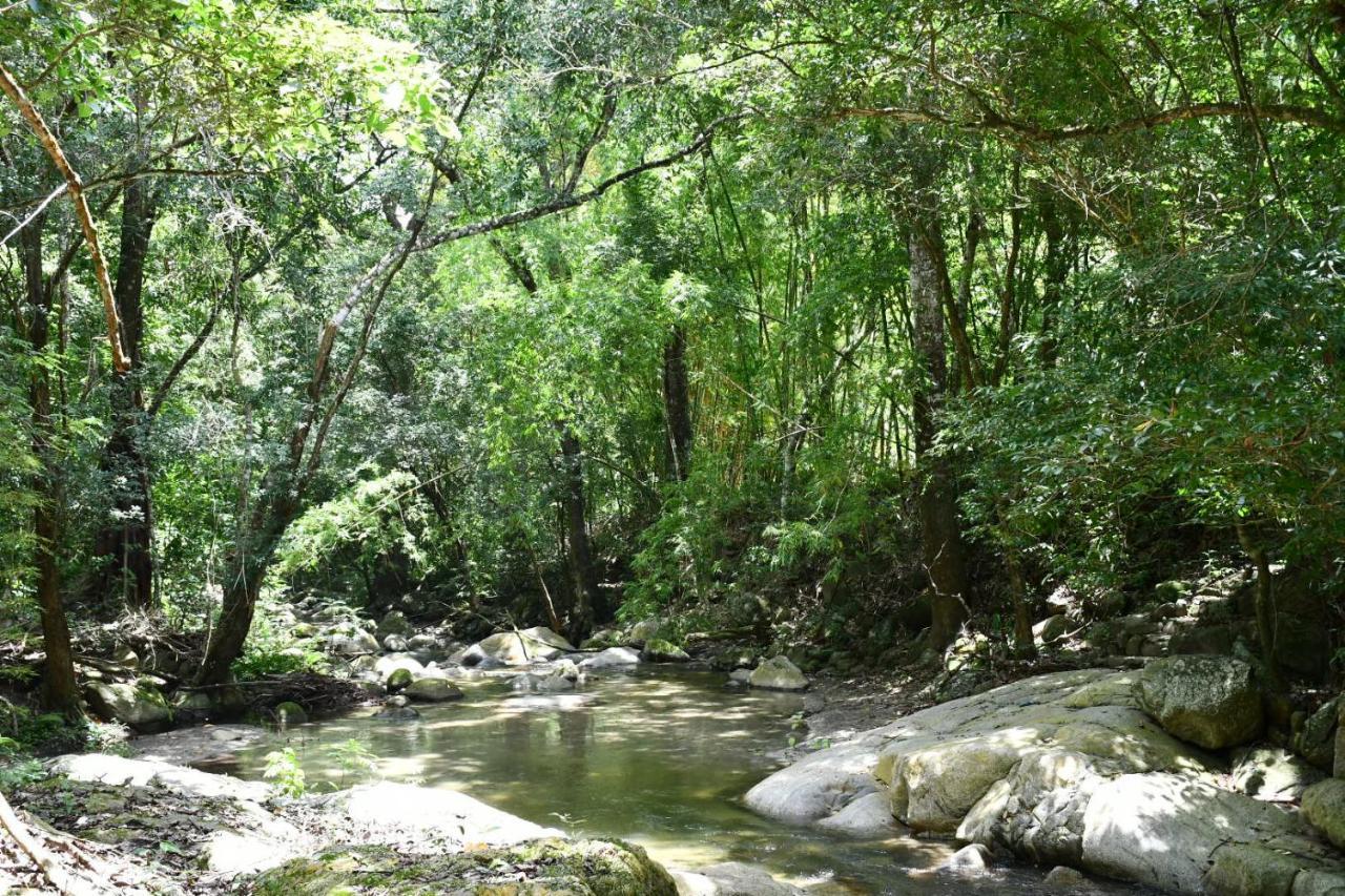 Reserva Biologica Caoba Bonda Екстер'єр фото