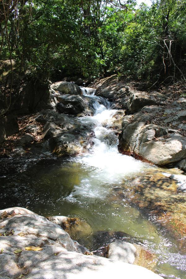 Reserva Biologica Caoba Bonda Екстер'єр фото